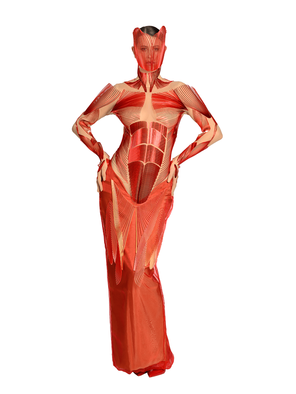 Inside Out, Stephanie Johnson, Ireland